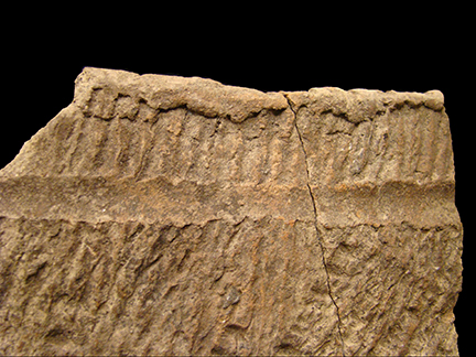 Close-up of the exterior surface of a Popes Creek decorated rim sherd from cord-marked vessel#1, from the Hamilton Collection, site 18CH58.